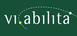 logo viabilita