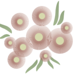 prateria mesobrometo
