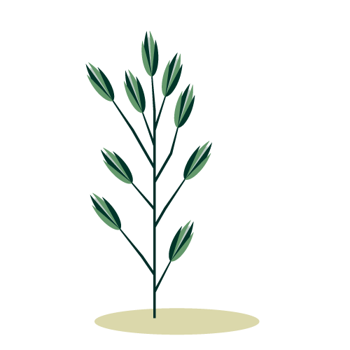 illustrazione-lolieto